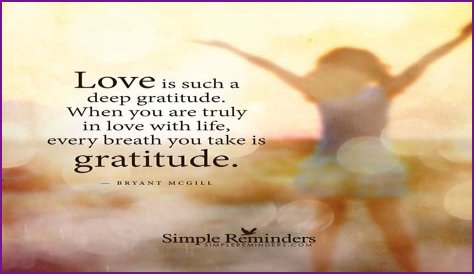 A Journey Of Love And Gratitude